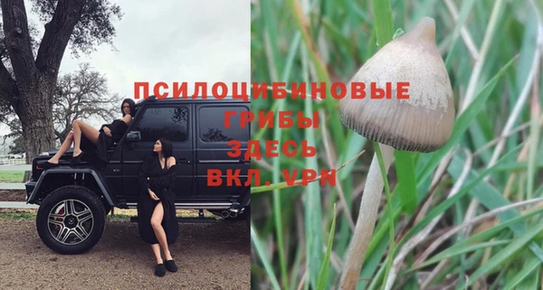 дживик Балабаново