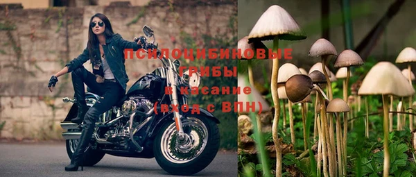 дживик Балабаново
