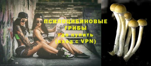 дживик Балабаново