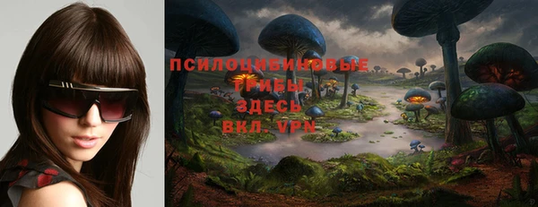 дживик Баксан